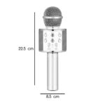 Wireless Mic with Speaker - Bluetooth Karaoke Radio Microphone - WS-858